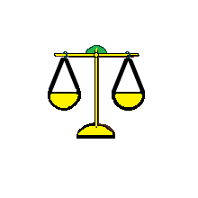 Évolution juridique 2017-2019 : des apports de la jurisprudence à la loi ELAN